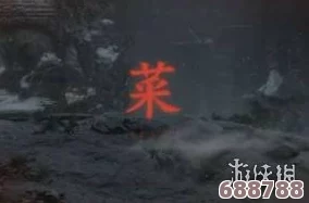 《只狼》MOD安装全攻略：解决无法使用的终极方案！
