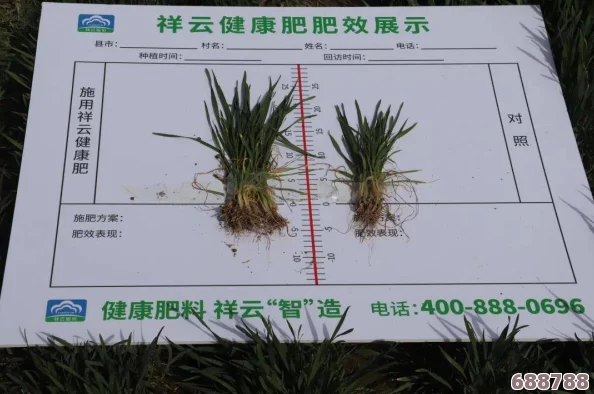 优质JY灌溉系统苏软软：种田大亨的秘密武器，让庄稼疯长的神奇装置