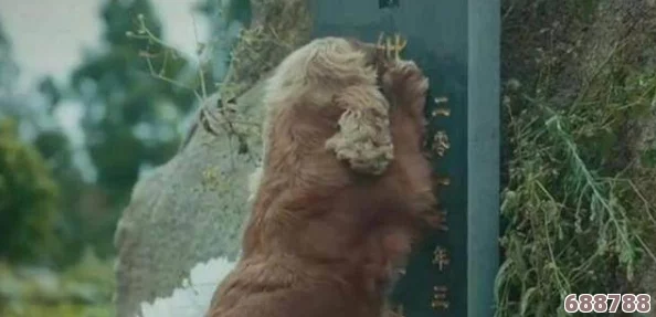 皇后被赐精和狗赐精：一场关于权力与忠诚的惊人故事，揭示了隐藏在权力背后的秘密与阴谋
