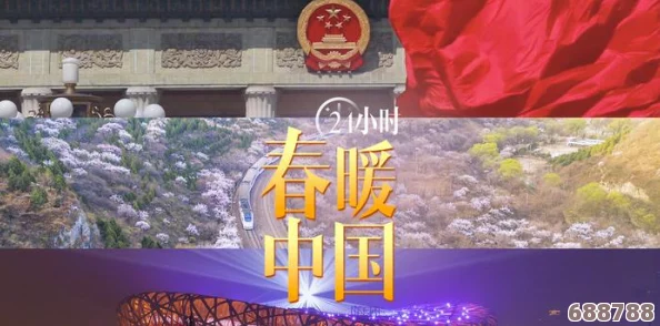 最新网友热评：高清藏传肉莲花图片，惊艳视觉盛宴
