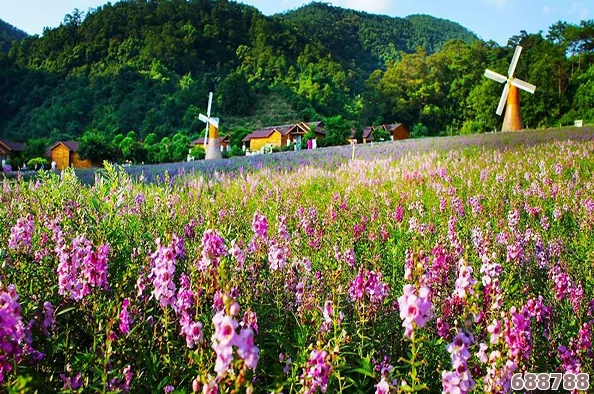坤坤寒进桃子里嗟嗟免，昌盛春意浓，桃花馥郁映桃园，蔚然成景引人醉