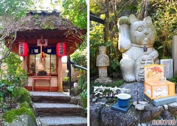 日本久久久久久：樱花飞舞中邂逅浪漫,体验东瀛风情万种