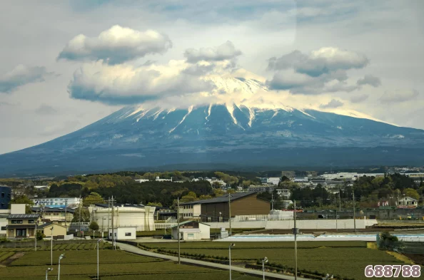 日本久久久久久：樱花飞舞中邂逅浪漫,体验东瀛风情万种