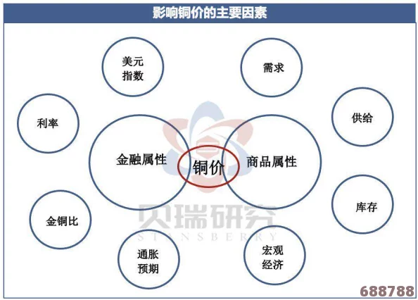 铜铜铜：用户的深刻评价揭示了其独特魅力与持久价值的背后真相