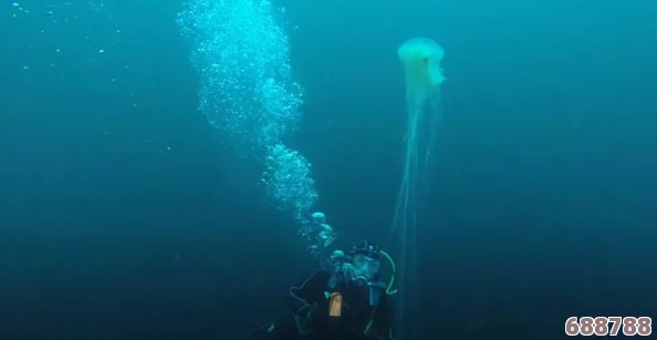 “AtlanticOcean的作品引发热议 网友称其为‘现代艺术的灵魂之声’”