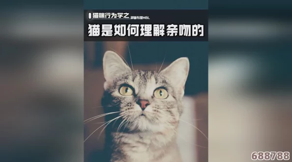 深度解锁CatKiss猫研社:全攻略秘籍,玩转萌宠世界的必备指南! 深度解锁CatKiss猫研社:全攻略秘籍,玩转萌宠世界的必备指南!