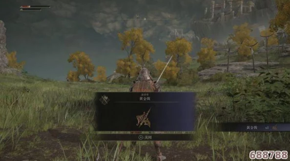 艾尔登法环：法环武士的非凡战力与独特魅力深度剖析！