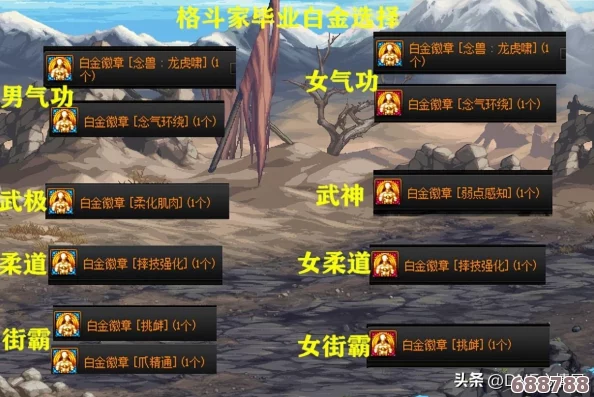 DNF女气功深度解析：白金徽章最佳选择指南