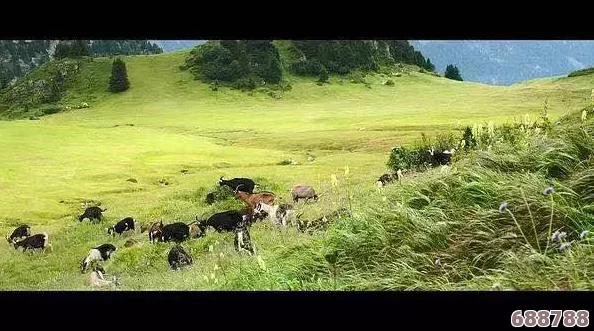 《荒野大镖客2》探秘：阿尔卑斯山羊隐居何处，寻找山脉之巅的珍稀踪迹！