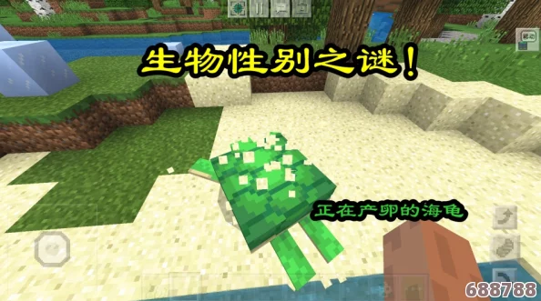 《我的世界》：如何获取海龟蛋及其神奇用途！