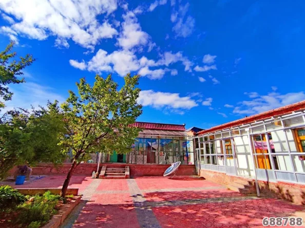《植物大战僵尸2》深度：全系列路障功夫僵尸图鉴大赏，策略对战必备指南！
